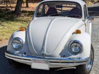 Volkswagen Beetle Vw  - <small></small> 16.000 € <small>TTC</small> - #2