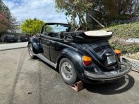 Volkswagen Beetle Vw  - <small></small> 16.000 € <small>TTC</small> - #3