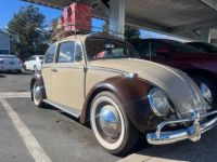 Volkswagen Beetle Vw  - <small></small> 19.000 € <small>TTC</small> - #2