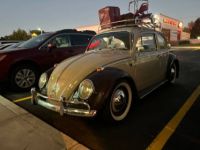 Volkswagen Beetle Vw  - <small></small> 19.000 € <small>TTC</small> - #7