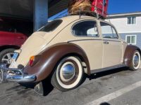 Volkswagen Beetle Vw  - <small></small> 19.000 € <small>TTC</small> - #11