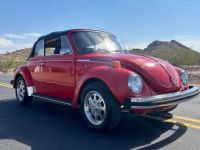 Volkswagen Beetle Vw bug  - <small></small> 20.000 € <small>TTC</small> - #1