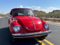 Volkswagen Beetle Vw bug  - <small></small> 20.000 € <small>TTC</small> - #2