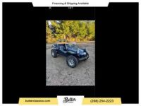 Volkswagen Buggy Dune  - <small></small> 22.000 € <small>TTC</small> - #2