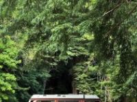 Volkswagen Bus Bus/Vanagon  - <small></small> 27.000 € <small>TTC</small> - #24