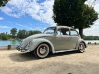 Volkswagen Coccinelle 1200 - <small></small> 23.000 € <small>TTC</small> - #2