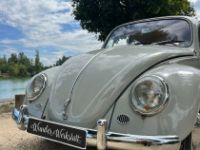 Volkswagen Coccinelle 1200 - <small></small> 23.000 € <small>TTC</small> - #11