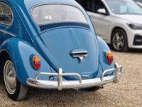 Volkswagen Coccinelle 1200 BLEU - <small></small> 22.900 € <small>TTC</small> - #5