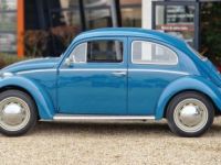 Volkswagen Coccinelle 1200 BLEU - <small></small> 22.900 € <small>TTC</small> - #20