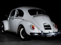 Volkswagen Coccinelle 1200 Export - <small></small> 27.900 € <small>TTC</small> - #2