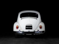 Volkswagen Coccinelle 1200 Export - <small></small> 27.900 € <small>TTC</small> - #3