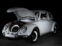 Volkswagen Coccinelle 1200 Export - <small></small> 21.000 € <small>TTC</small> - #14