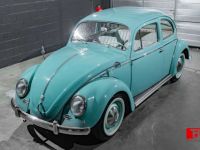 Volkswagen Coccinelle 1.200 Full Restored - <small></small> 20.890 € <small>TTC</small> - #7