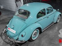 Volkswagen Coccinelle 1.200 Full Restored - <small></small> 20.890 € <small>TTC</small> - #9