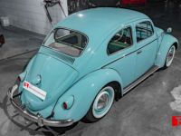 Volkswagen Coccinelle 1.200 Full Restored - <small></small> 19.890 € <small>TTC</small> - #8