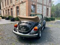 Volkswagen Coccinelle 1303 - <small></small> 23.900 € <small>TTC</small> - #12