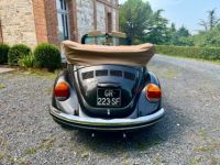 Volkswagen Coccinelle 1303 - <small></small> 23.900 € <small>TTC</small> - #13