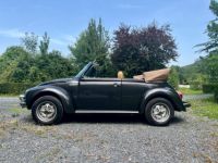 Volkswagen Coccinelle 1303 - <small></small> 23.900 € <small>TTC</small> - #15