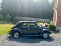 Volkswagen Coccinelle 1303 - <small></small> 23.900 € <small>TTC</small> - #49