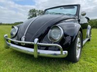 Volkswagen Coccinelle bug convertible - <small></small> 24.500 € <small>TTC</small> - #19