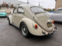 Volkswagen Coccinelle california look 1600 - <small></small> 19.990 € <small>TTC</small> - #3