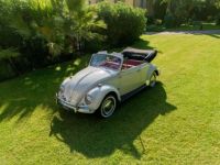 Volkswagen Coccinelle Karmann Cabriolet - <small></small> 29.990 € <small>TTC</small> - #23