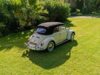 Volkswagen Coccinelle Karmann Cabriolet - <small></small> 29.990 € <small>TTC</small> - #25