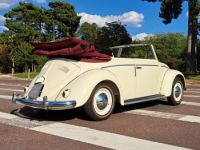 Volkswagen Coccinelle Ovale Cabriolet Karmann - <small></small> 60.000 € <small>TTC</small> - #5