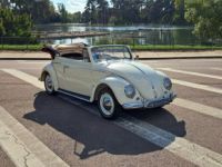 Volkswagen Coccinelle Ovale Cabriolet Karmann - <small></small> 60.000 € <small>TTC</small> - #3