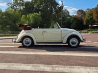 Volkswagen Coccinelle Ovale Cabriolet Karmann - <small></small> 60.000 € <small>TTC</small> - #4
