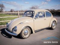 Volkswagen Coccinelle Volkswagen Kever 1300 - OLDTIMER - GOEDE STAAT - RADIO - LEDER - <small></small> 13.999 € <small>TTC</small> - #9