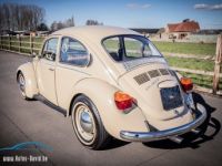 Volkswagen Coccinelle Volkswagen Kever 1300 - OLDTIMER - GOEDE STAAT - RADIO - LEDER - <small></small> 13.999 € <small>TTC</small> - #11