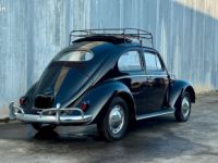 Volkswagen Coccinelle VW Ovale complétement restaurée - <small></small> 36.900 € <small>TTC</small> - #3