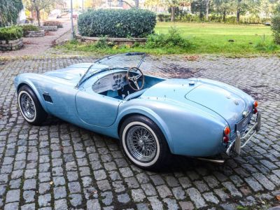 AC Cobra 289  - 17