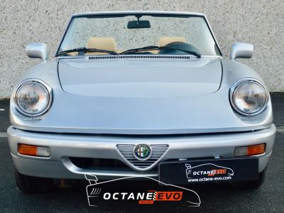 Alfa Romeo Spider série 4  - 8