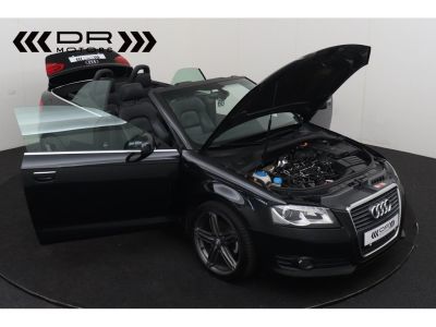 Audi A3 Cabriolet 1.6TDI - LEDER XENON  - 12