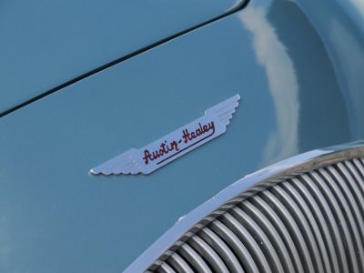 Austin Healey 100 100/4 - Restored  - 25