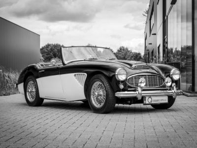 Austin Healey 100 100/6  - 2