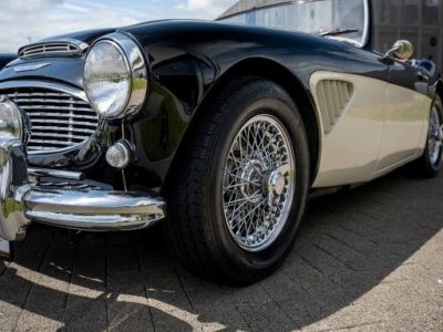 Austin Healey 100 100/6  - 6