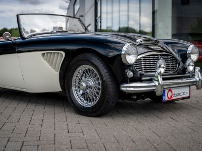 Austin Healey 100 100/6  - 7