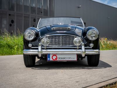 Austin Healey 100 100/6  - 12