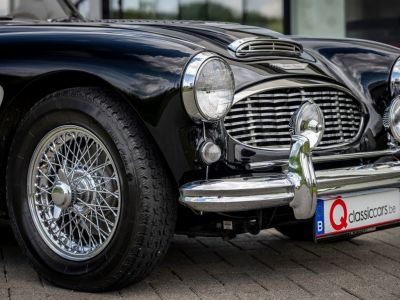 Austin Healey 100 100/6  - 35