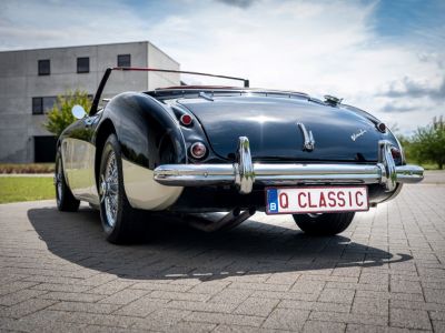 Austin Healey 100 100/6  - 38