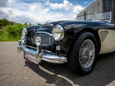 Austin Healey 100 100/6  - 41