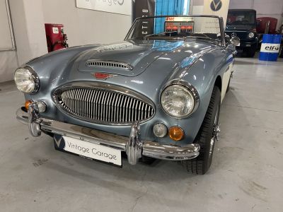 Austin Healey 3000  - 3