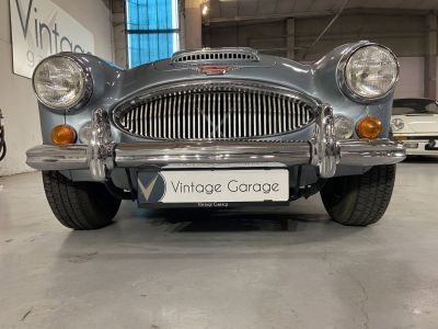 Austin Healey 3000  - 6