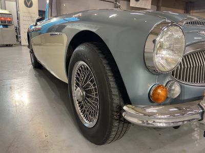 Austin Healey 3000  - 19