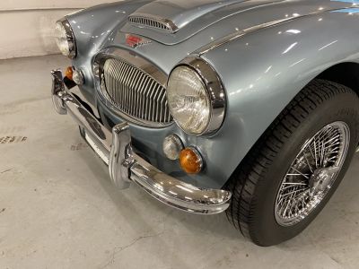 Austin Healey 3000  - 21