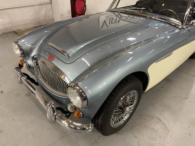 Austin Healey 3000  - 22