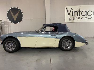 Austin Healey 3000  - 45